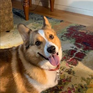 Meet your Posher, Tammy